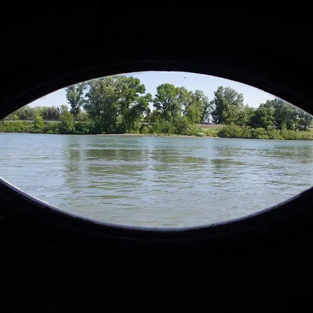 Peniche Le Hasard Villeneuve-lès-Avignon